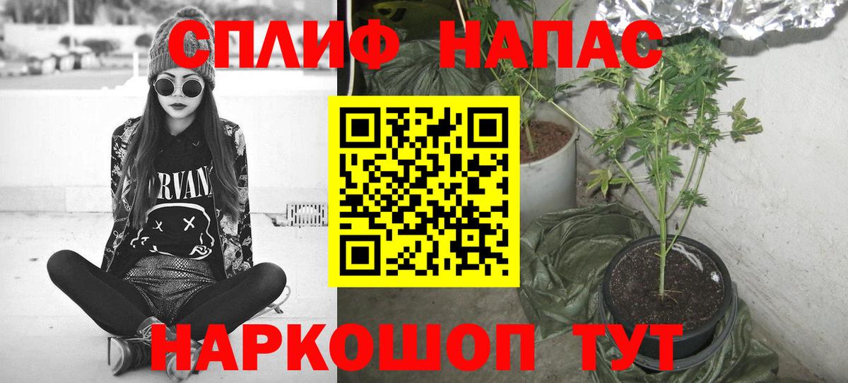 Шишки марихуана конопля Вышний Волочёк